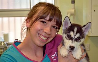 The People's Vet- Hayley with Husky