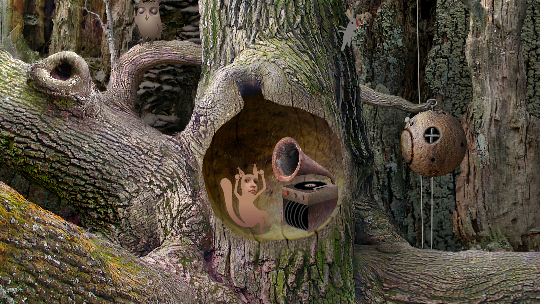 A squirrel lady chilling in a tree