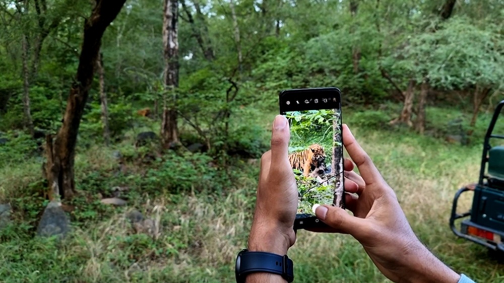 Samsung partnered with Discovery for a wildlife documentary