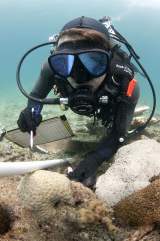 Effects of Dredging on Coral Reefs