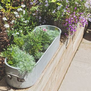 Garden planters with plants growing in them