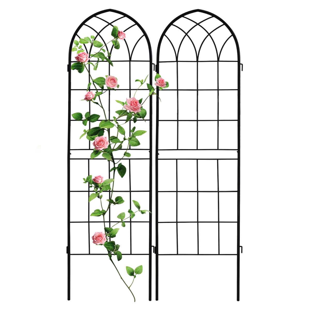 Ebern Designs Garden Trellis &amp;amp; Reviews | Wayfair