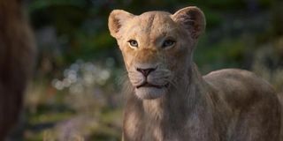 Beyonce's Nala in The Lion King
