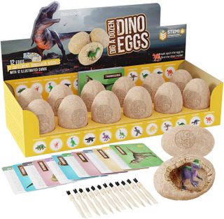 Dino egg digging kit