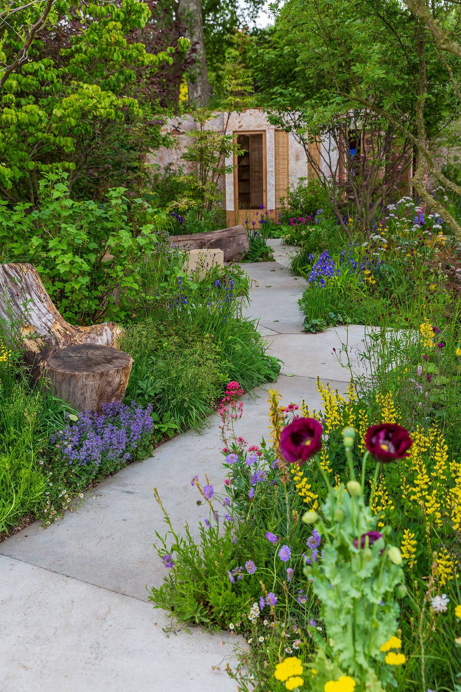 The Avanade Intelligent Garden at RHS Chelsea Flower Show 2025