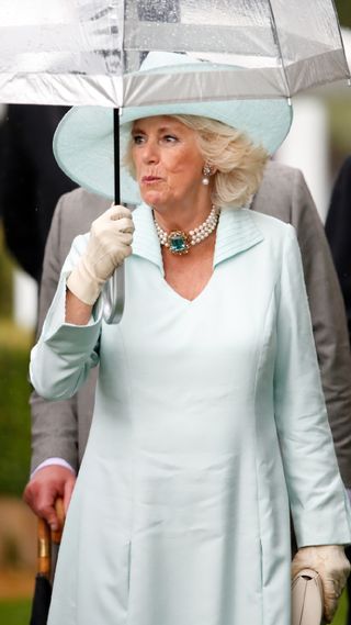 Queen Camilla in a pastel shift dress