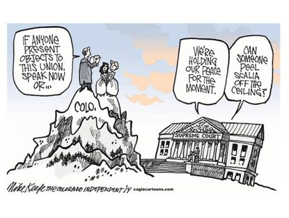 Editorial cartoon gay marriage Colorado