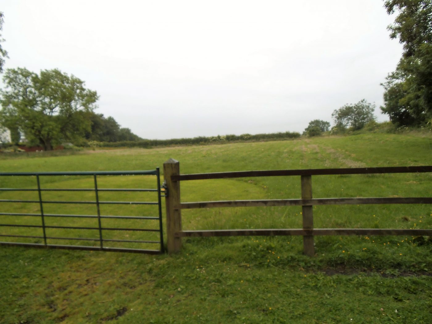Thornley-Road-3-e1557999705488.jpg