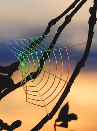 Geometry of a spider web under mechanical deformation.