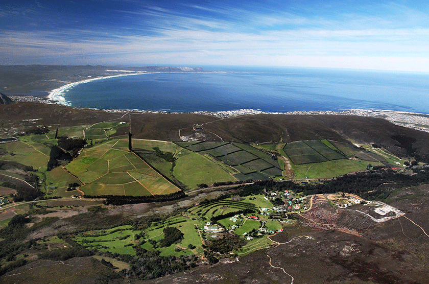 Hamilton-Russell-Vineyards-aerial