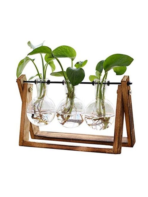 Plant Terrarium With Wooden Stand
