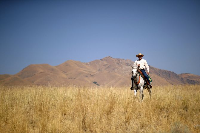 A cowboy and his horse watch on during stage 3 of the 2018 Tour of Utah between Antelope Island and Layton City