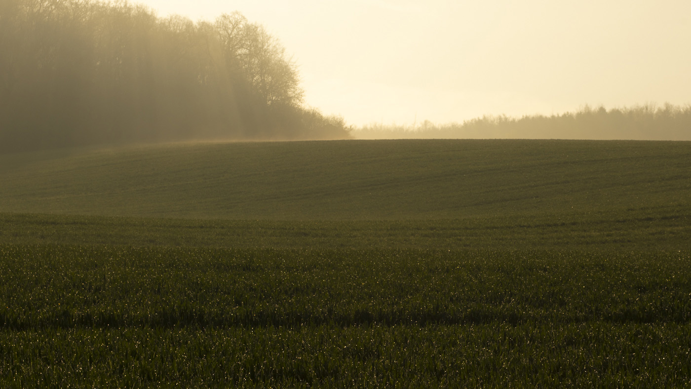 Landscape, wide open field