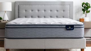 The Serta Perfect Sleeper Charlotte Mattress placed on a gray fabric bed frame in a white bedroom