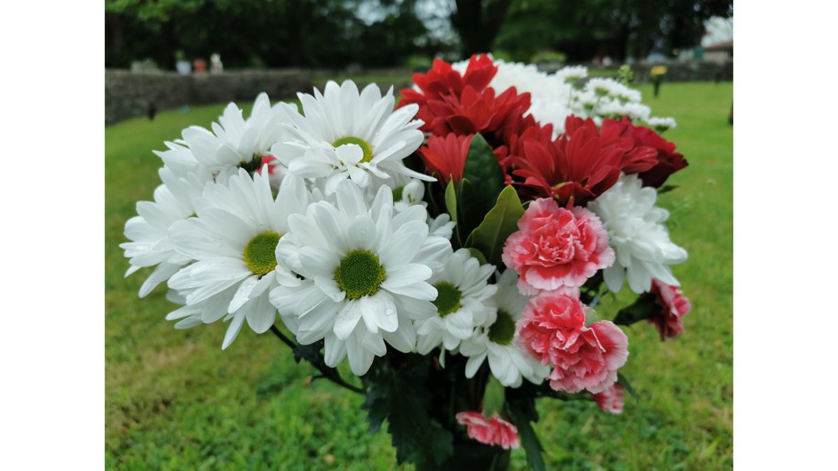 Huawei P30 camera sample