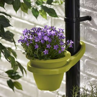 drain pipe with flower plant