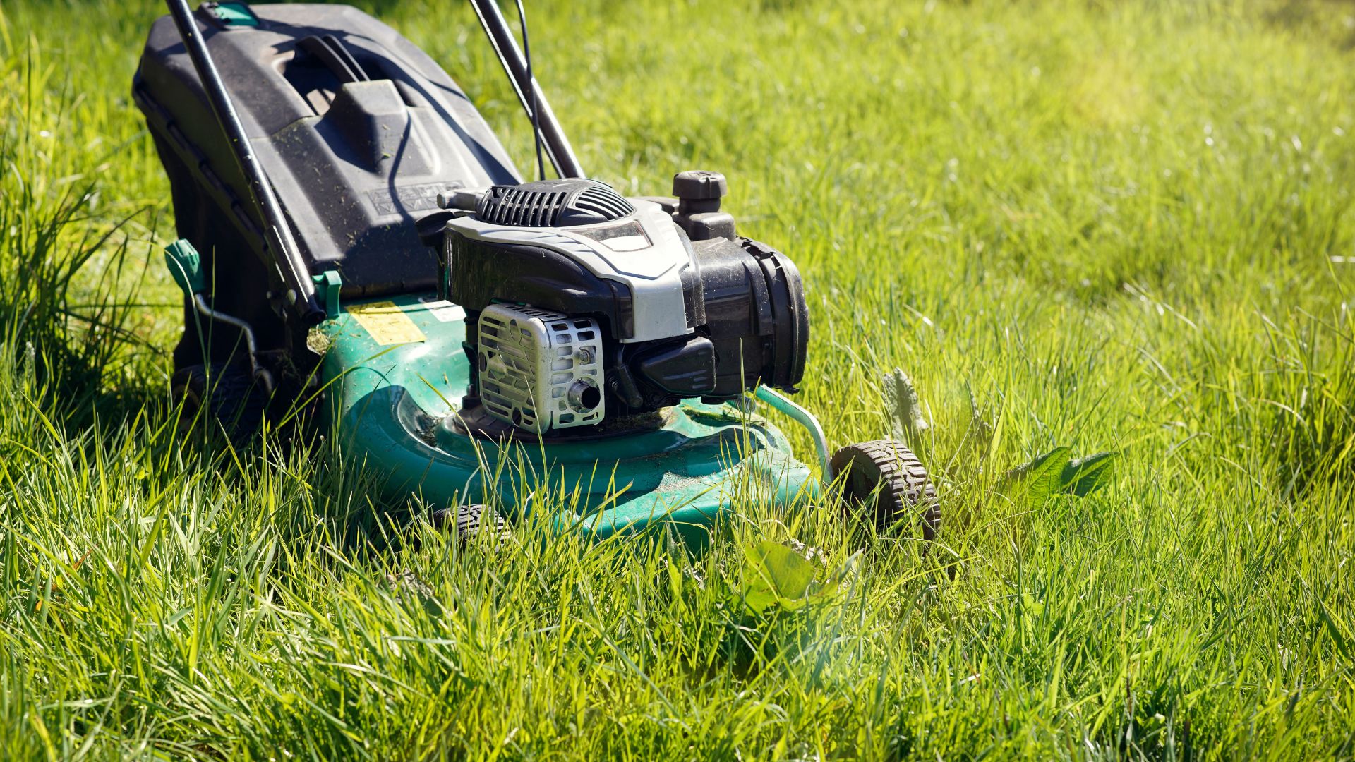 picture of lawn mower in long grass in uk garden