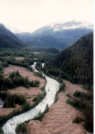 Blue River lava flow, Alaska