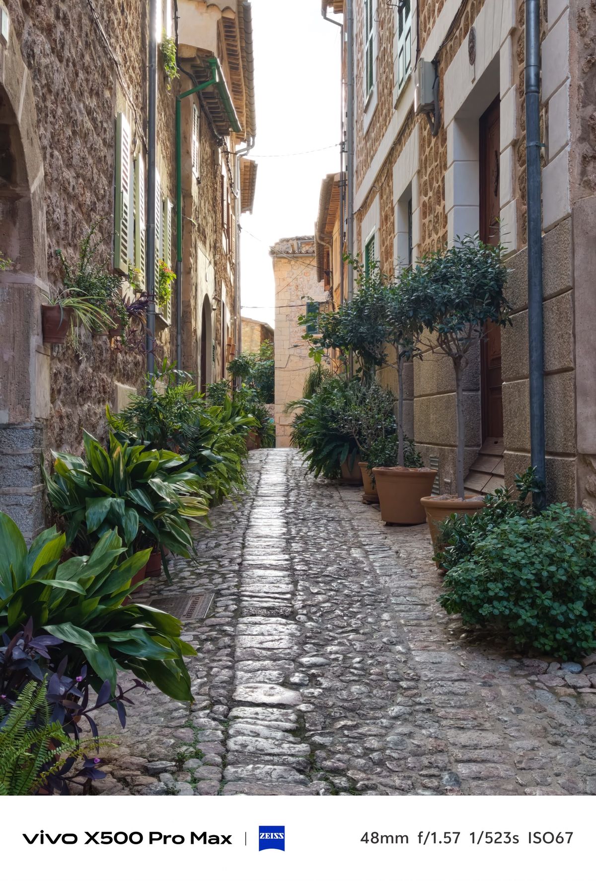 Tighter view along a narrow cobbled alley lined with stone buildings and potted plants.