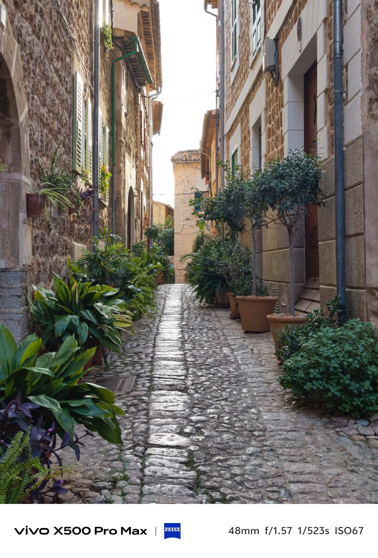 Tighter view along a narrow cobbled alley lined with stone buildings and potted plants.
