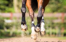 Alamy-HHD8TY_211705972_295409511.jpg