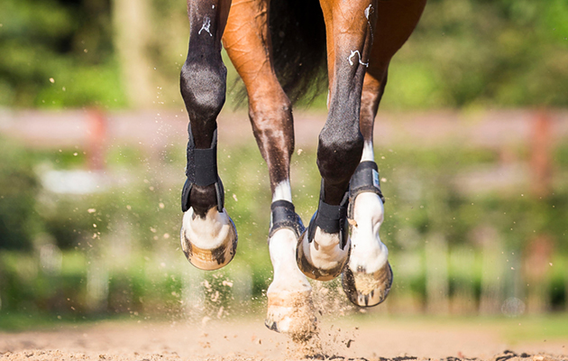 Alamy-HHD8TY_211705972_295409511.jpg