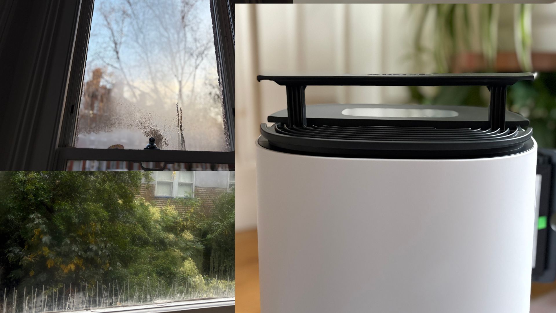 Testing the Meaco Arete One 6L Dehumidifier