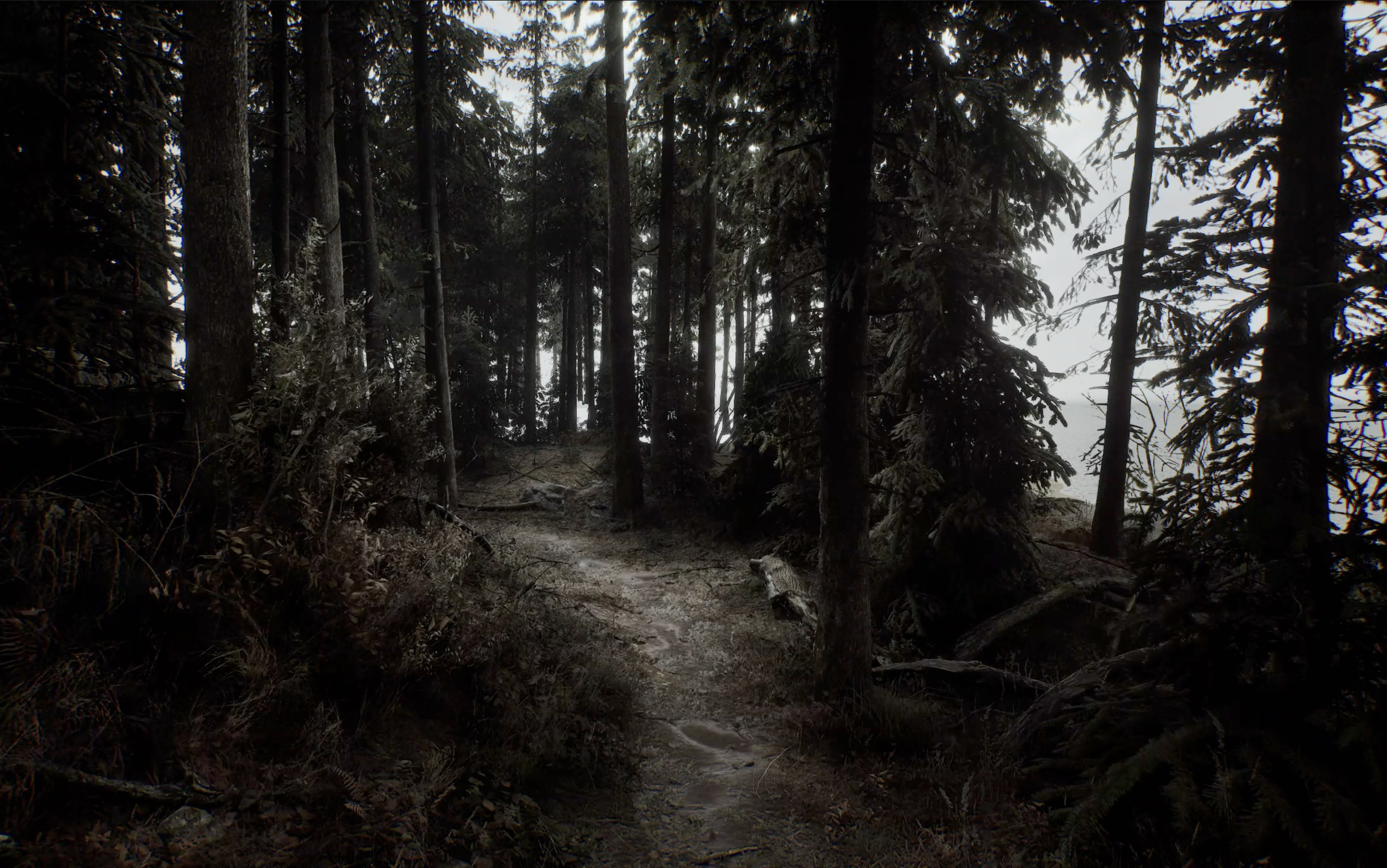 Landscape from Silent Hill 2, Pascal Greco