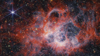This image from NASA’s James Webb Space Telescope’s NIRCam (Near-Infrared Camera) of star-forming region NGC 604 shows how stellar winds from bright, hot young stars carve out cavities in surrounding gas and dust.