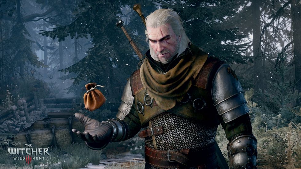 THE WITCHER 3: WILD HUNT BR PS5 : : Games e Consoles