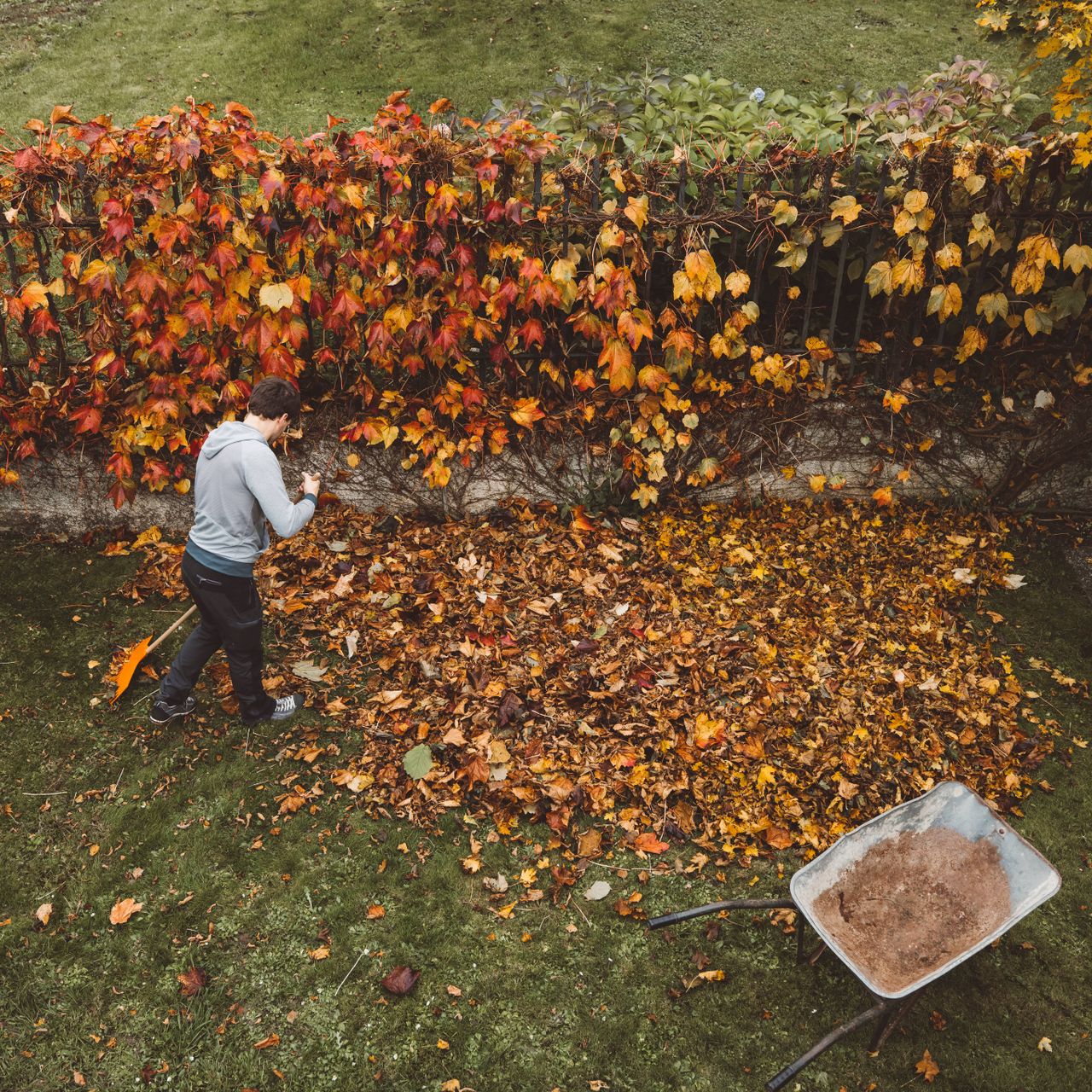 A man raking leaves next to a fence