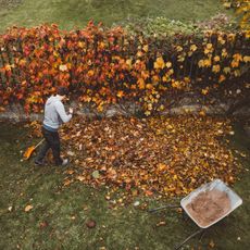 A man raking leaves next to a fence
