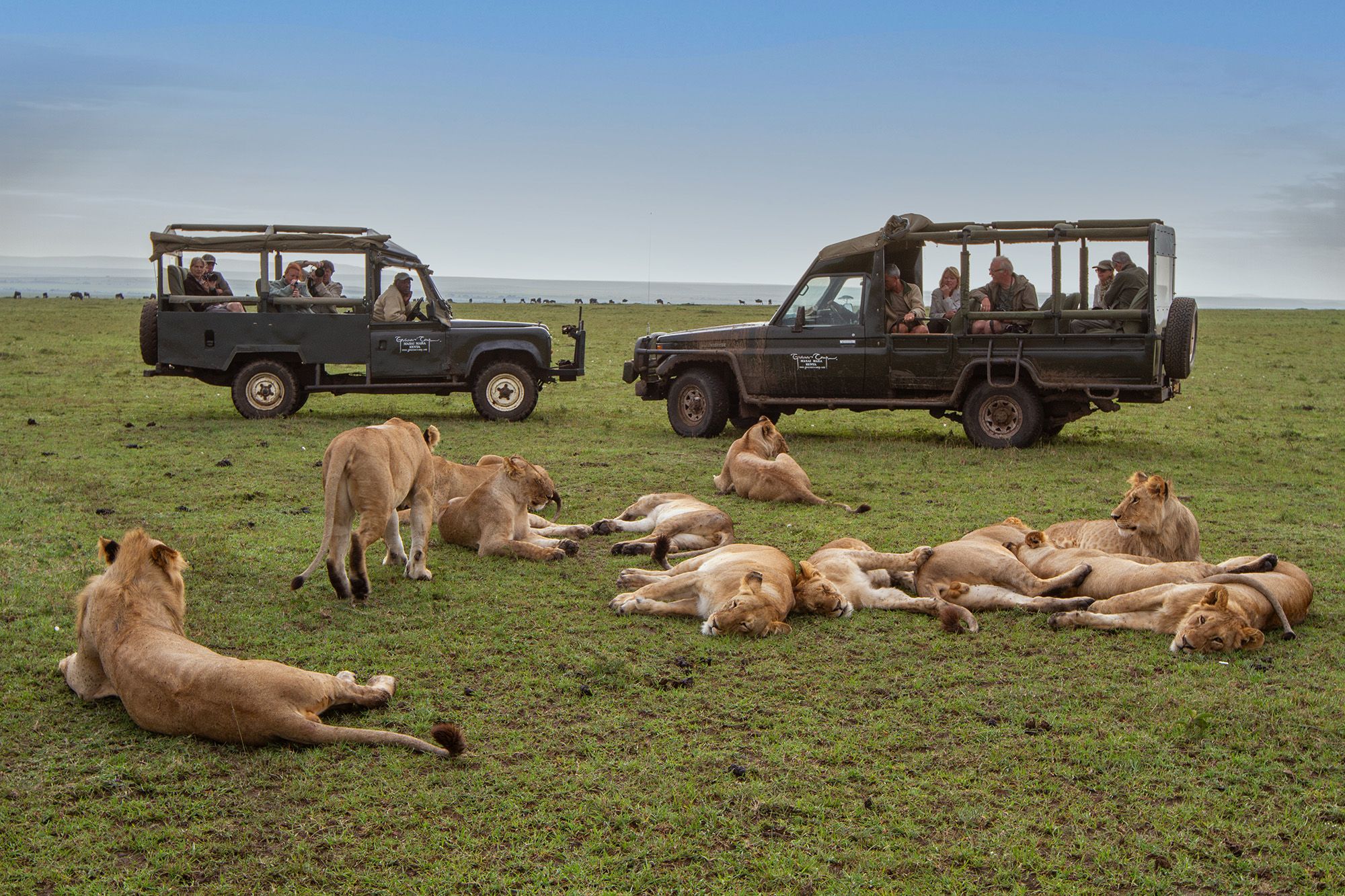 Wildlife Photographers Scott Launch Safari Etiquette E-book