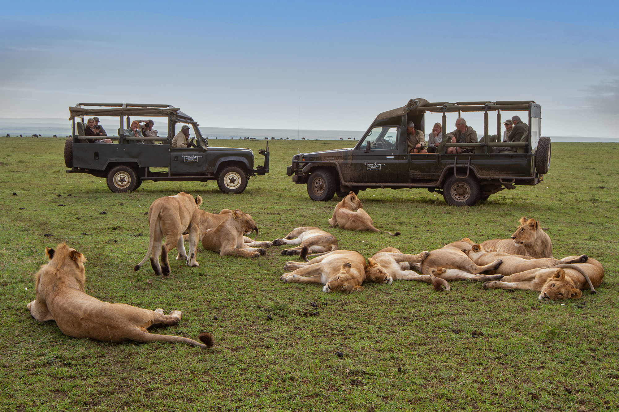 Photograph of safari vehicles in the Maasai Mara, Kenya, taken by Jonathan and Angela Scott