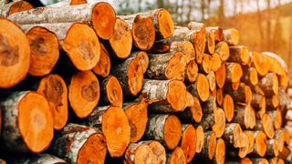 how to store firewood: stacks of firewood