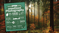 Woodland photography explained
