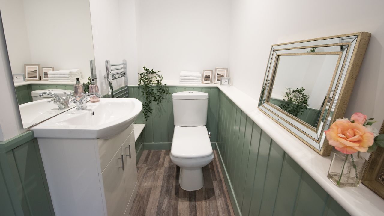 green modern farm house bathroom that&#039;s small with a toilet, green walls and two mirrors opposite one another