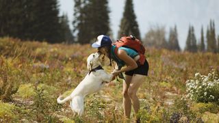 hiking with a dog