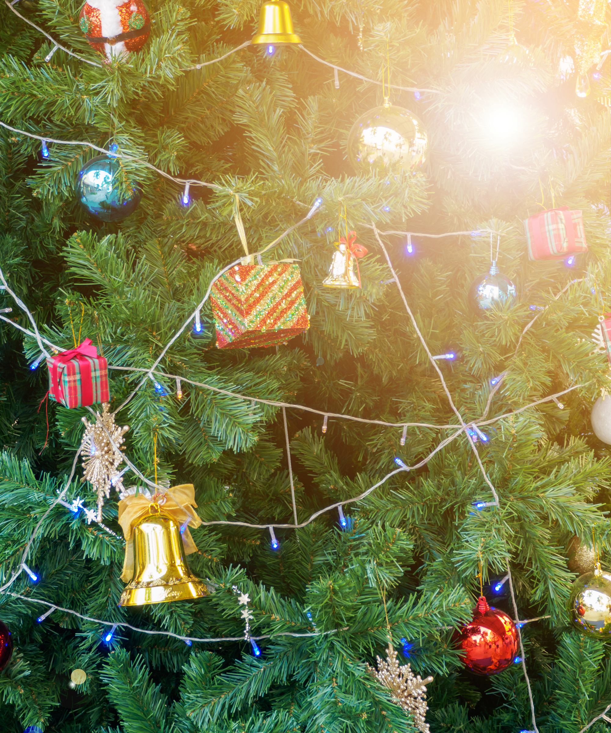 Christmas decorations on fir tree