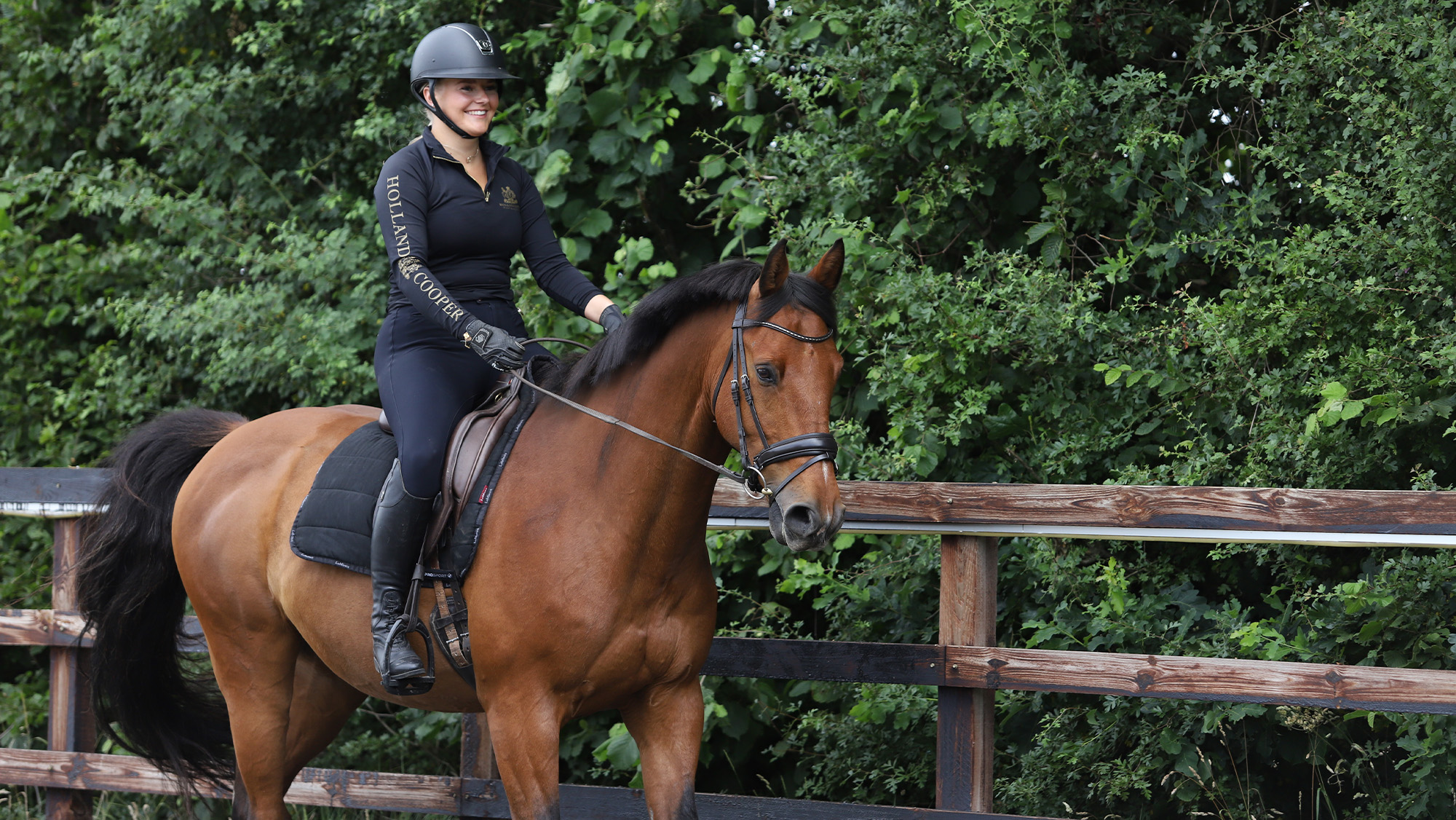 Close up of rider trotting on bay horse, not showing the horse&rsquo;s legs