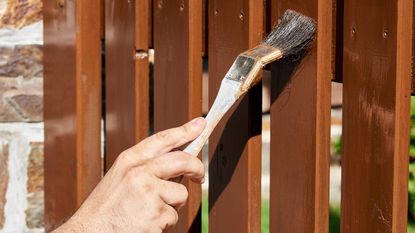 Staining a fence