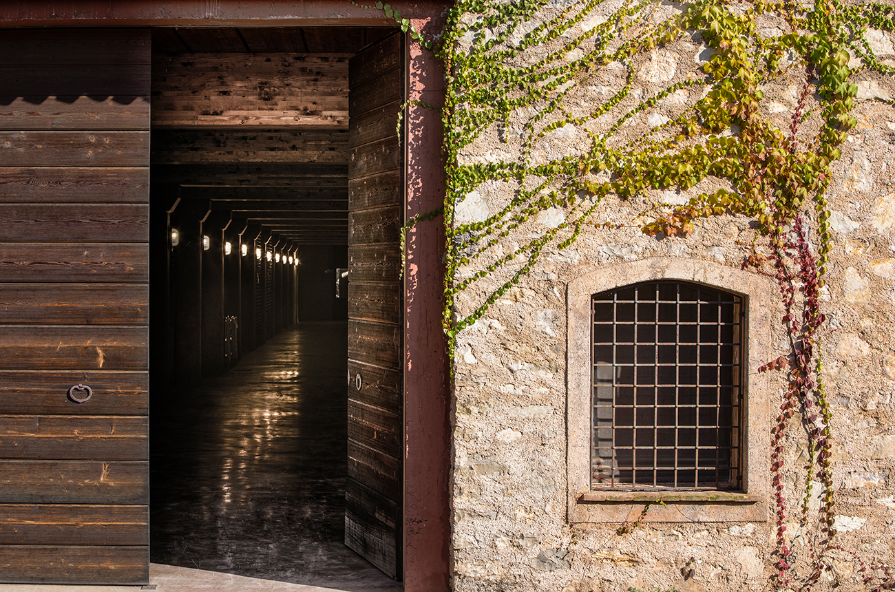 AGB-Lo-Sparviere-ingresso-cantina.jpg