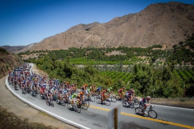 The race heads up through the orchards.