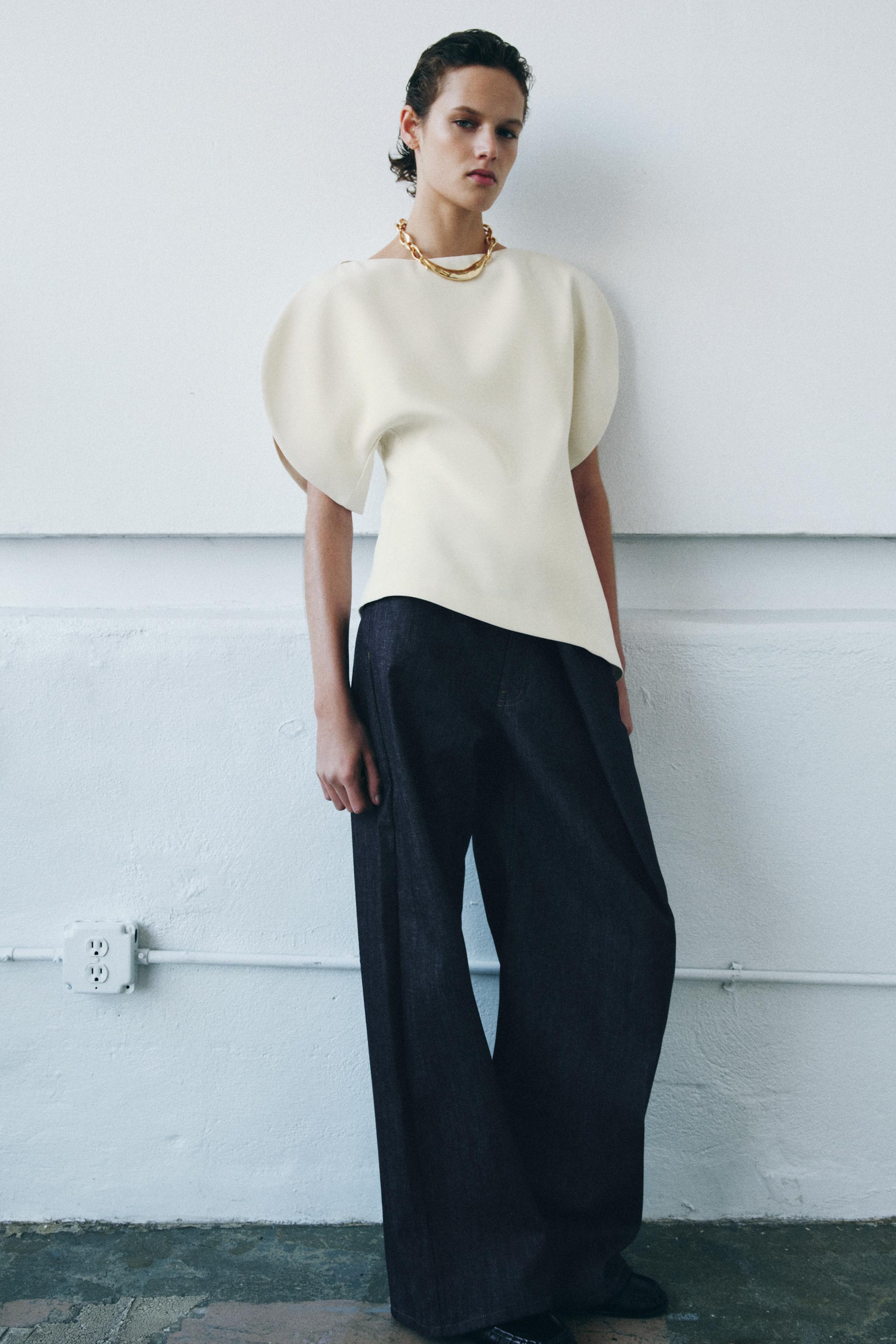 Puff Sleeve Top Zw Collection