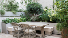 urban garden with a built in bench seating area surrounding by climbing plants and other shrubbery