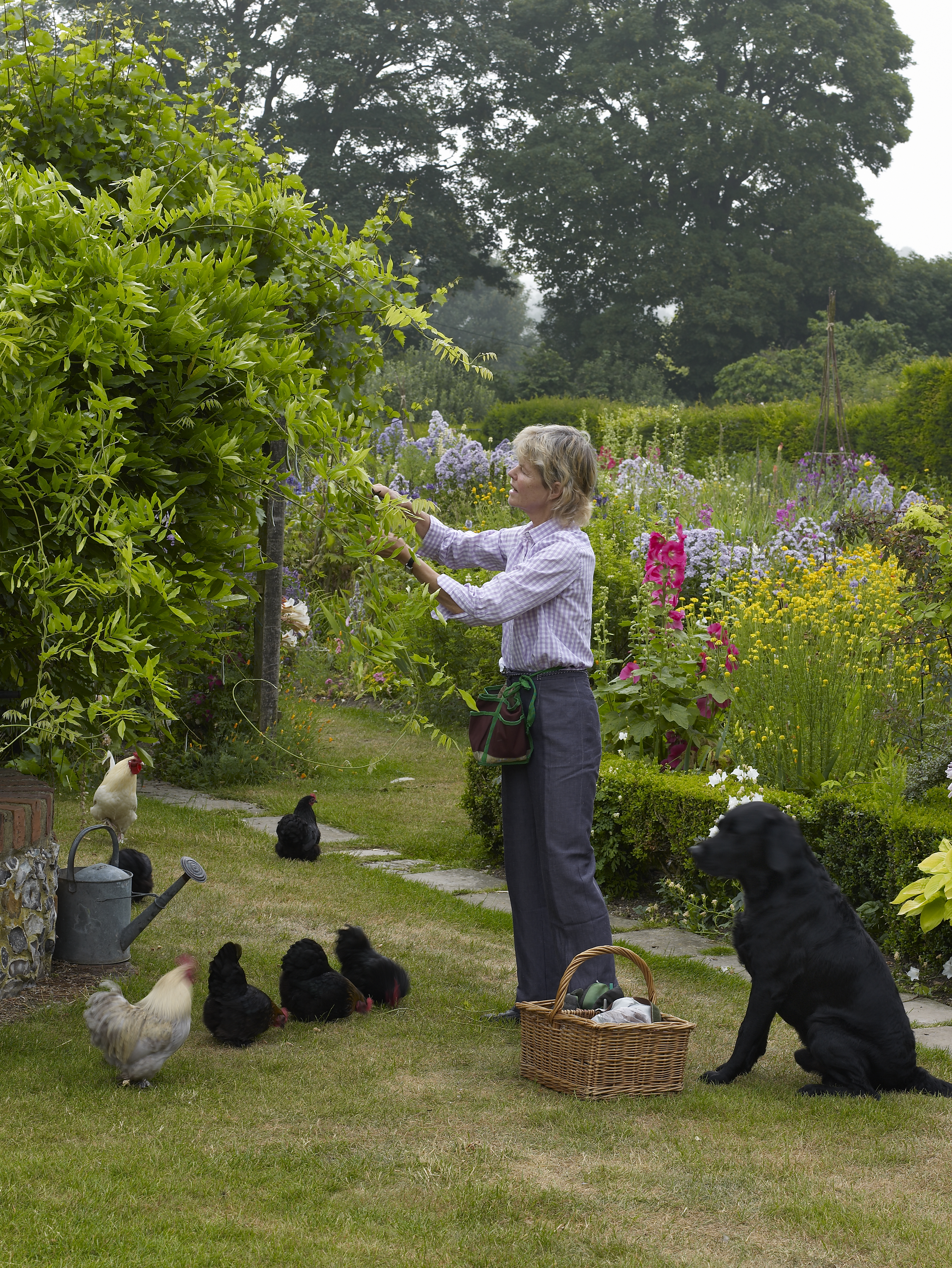 Rosamund Wallinger tends to her garden at The Manor House, Upton Grey