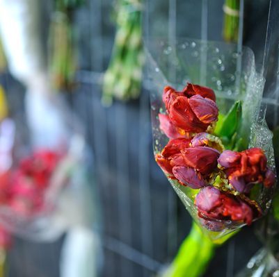 peaches geldof funeral