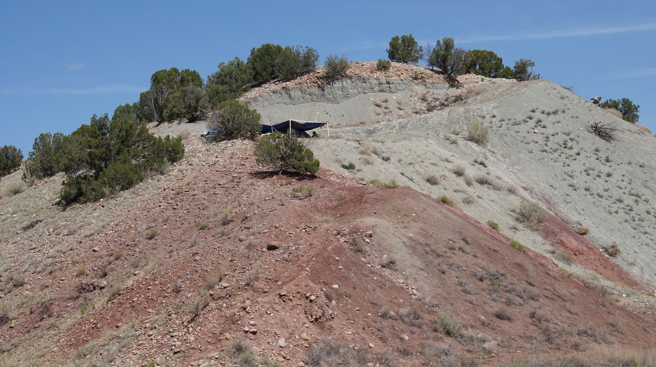 Triassic outcrops of the Chinle Formation of New Mexico, which held the fossils of the lagerpetid Dromomeron.