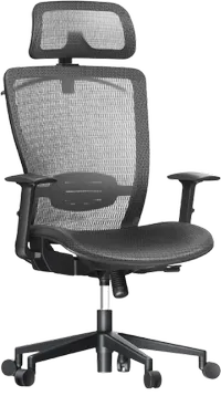 FlexiSpot OC3 ergonomic home office chair