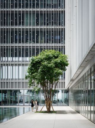 David Chipperfield architects designs amorepacific hq.